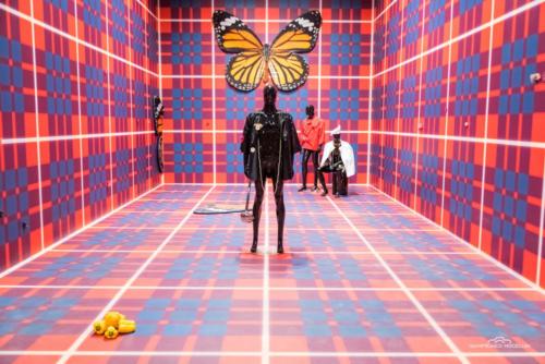  Biennale 2019 Venezia  MG 9090
