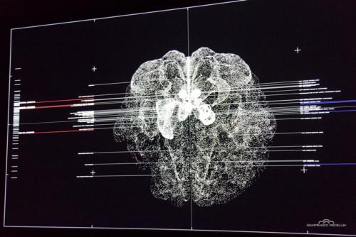  Biennale 2019 Venezia  MG 9096