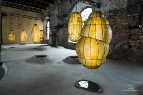  Biennale 2019 Venezia  MG 9108