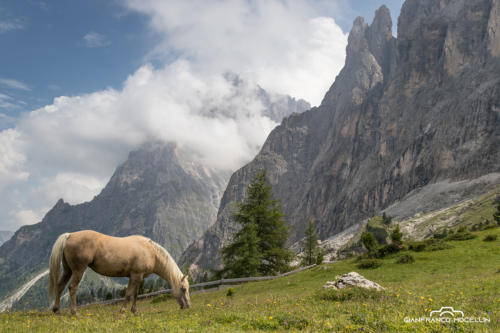 Val Gardena "019