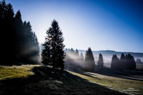 Alba nella piana del Cansiglio