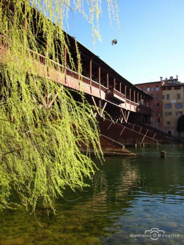 Ponte degli alpiniBassano del Grappa