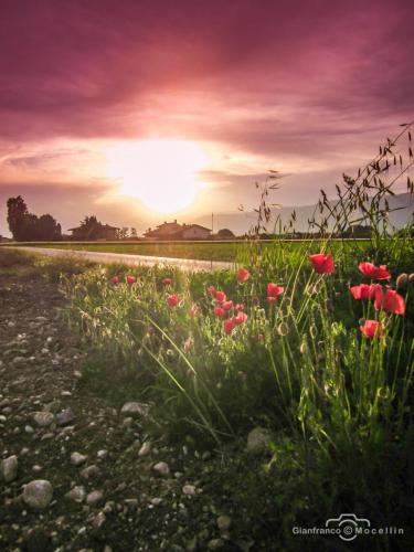 Campagna Bassanese