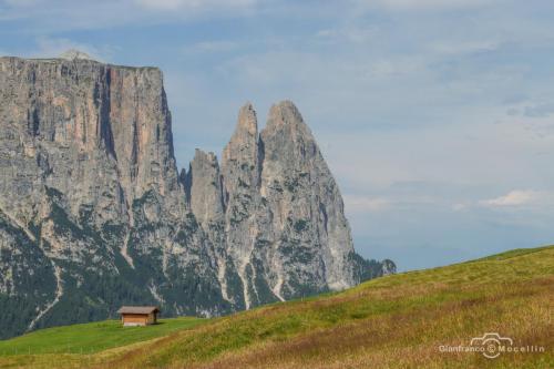 Alpe di Siusi 