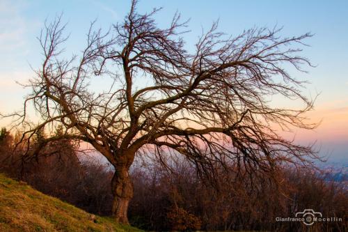 Tramonto da Località Priva  Bassano del Grappa