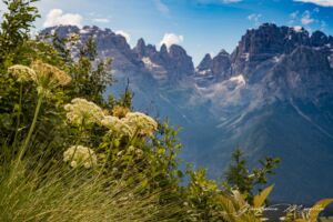 Dolomiti di Brenta