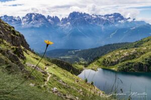 Dolomiti di Brenta